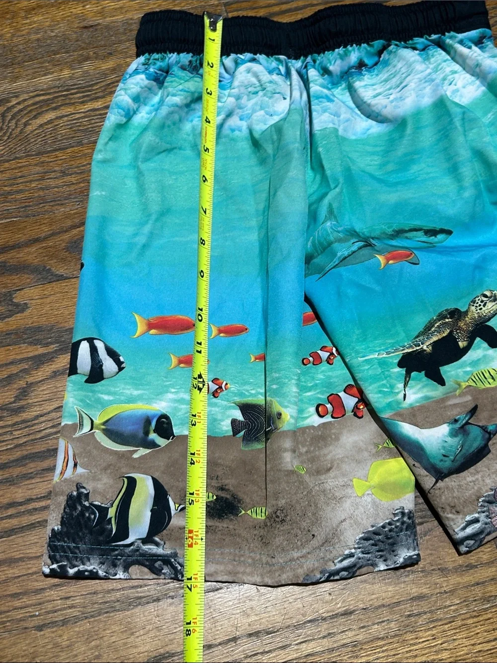 wonder nation bright aqua